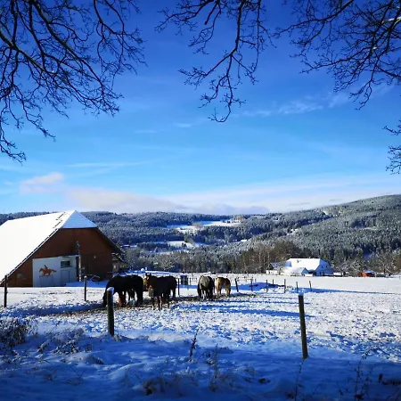 šumava * Zdíkov