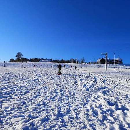 Sumava Apartment