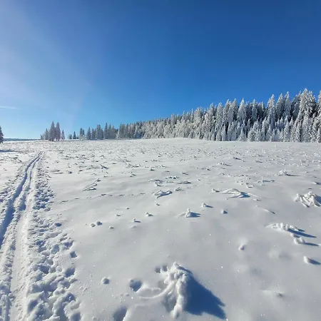 Sumava Apartament