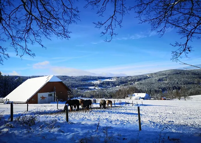 Sumava * Zdíkov