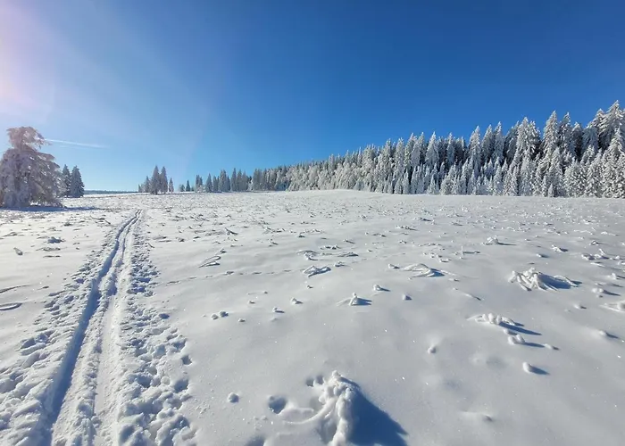 Sumava Lägenhet