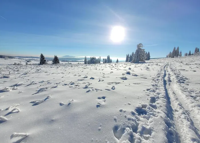 Lägenhet Sumava Zdíkov